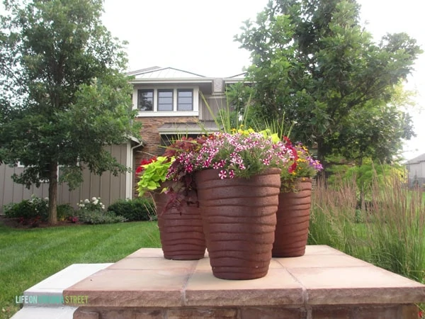 Planters - Front Yard - Life On Virginia Street