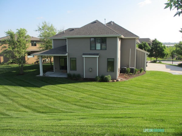 Backyard Before Trees