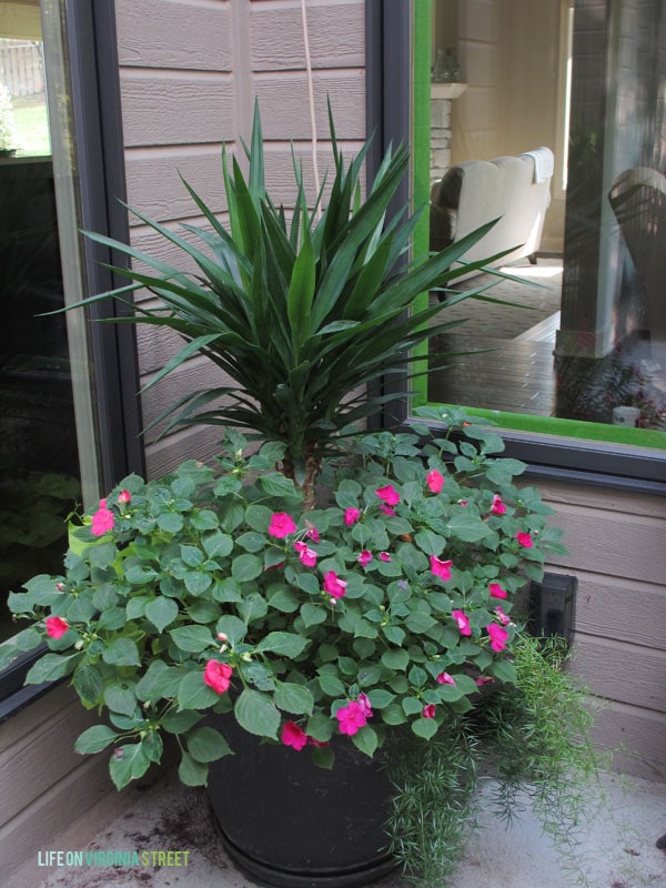 Courtyard Planter - Life On Virginia Street