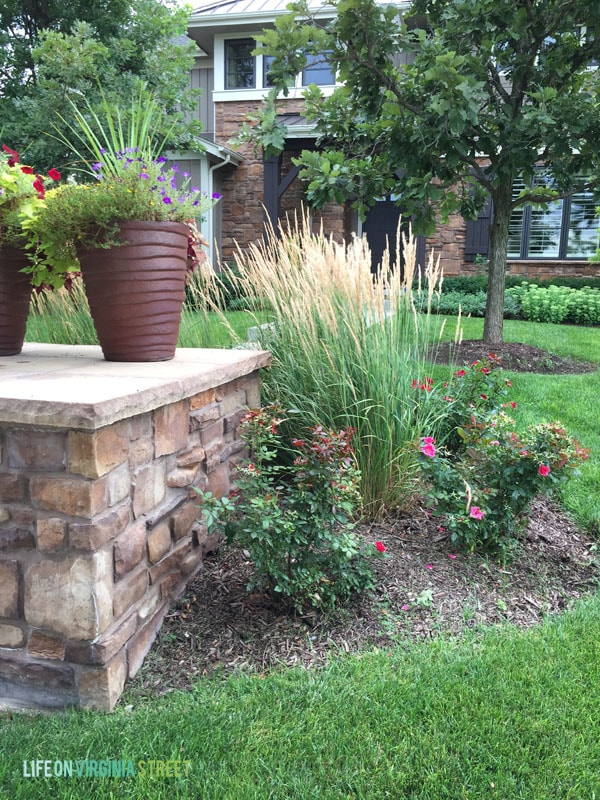 Front Yard Mulch Before - Life On Virginia Street