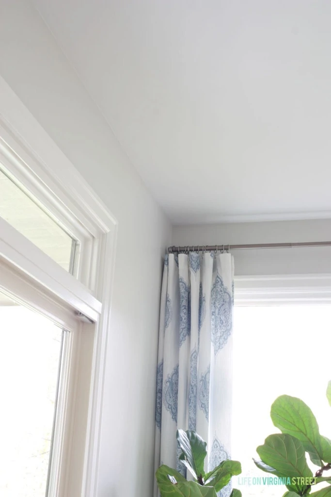 Painted walls with blue and white curtains and a green leaf plant.