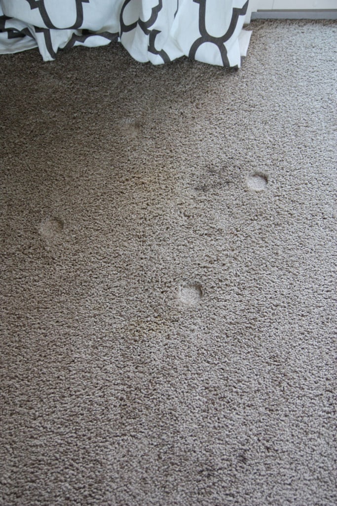 Carpet Stain