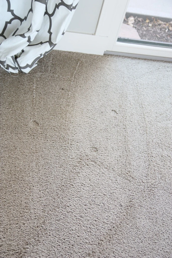 Clean Carpet