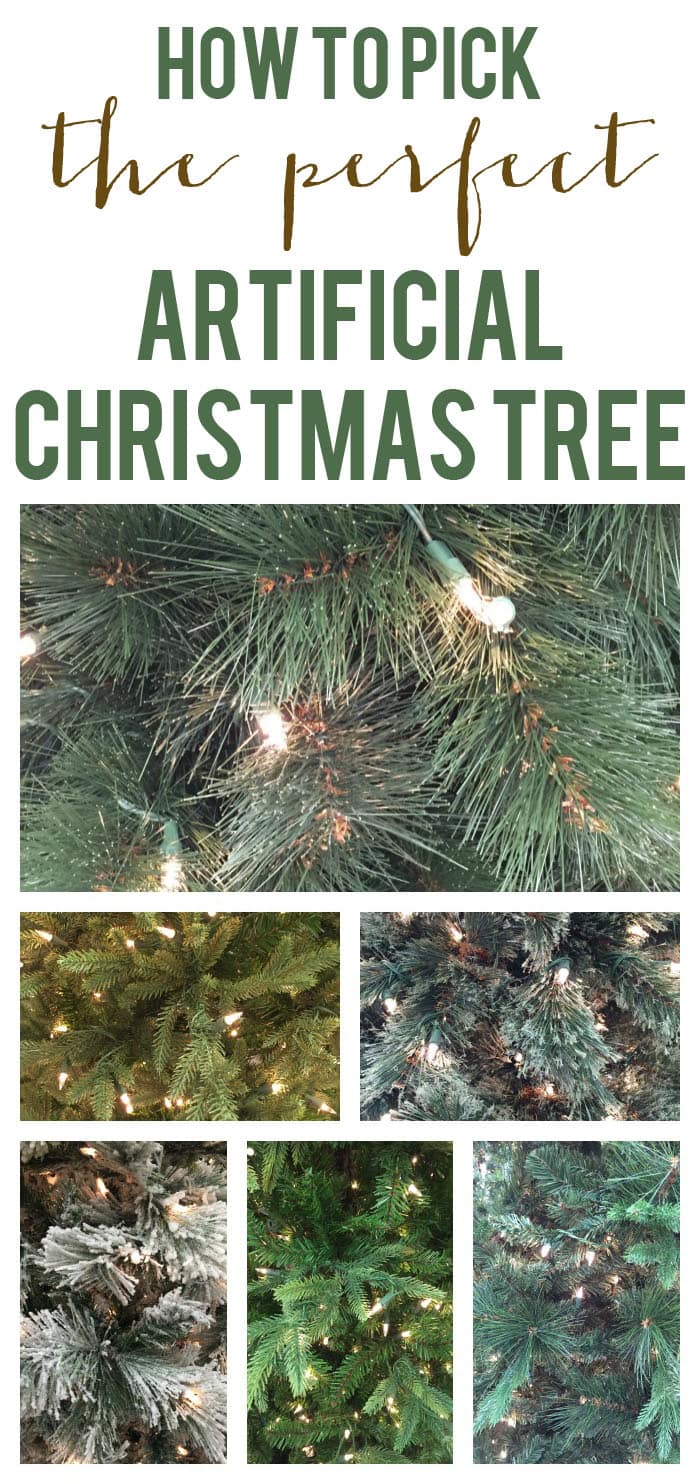 Types Of Christmas Trees