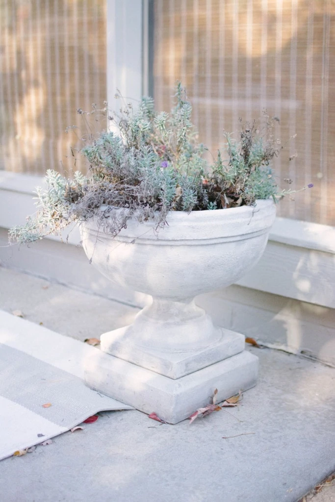 Patio Planters - Neutral Home Tour - Life On Virginia Street