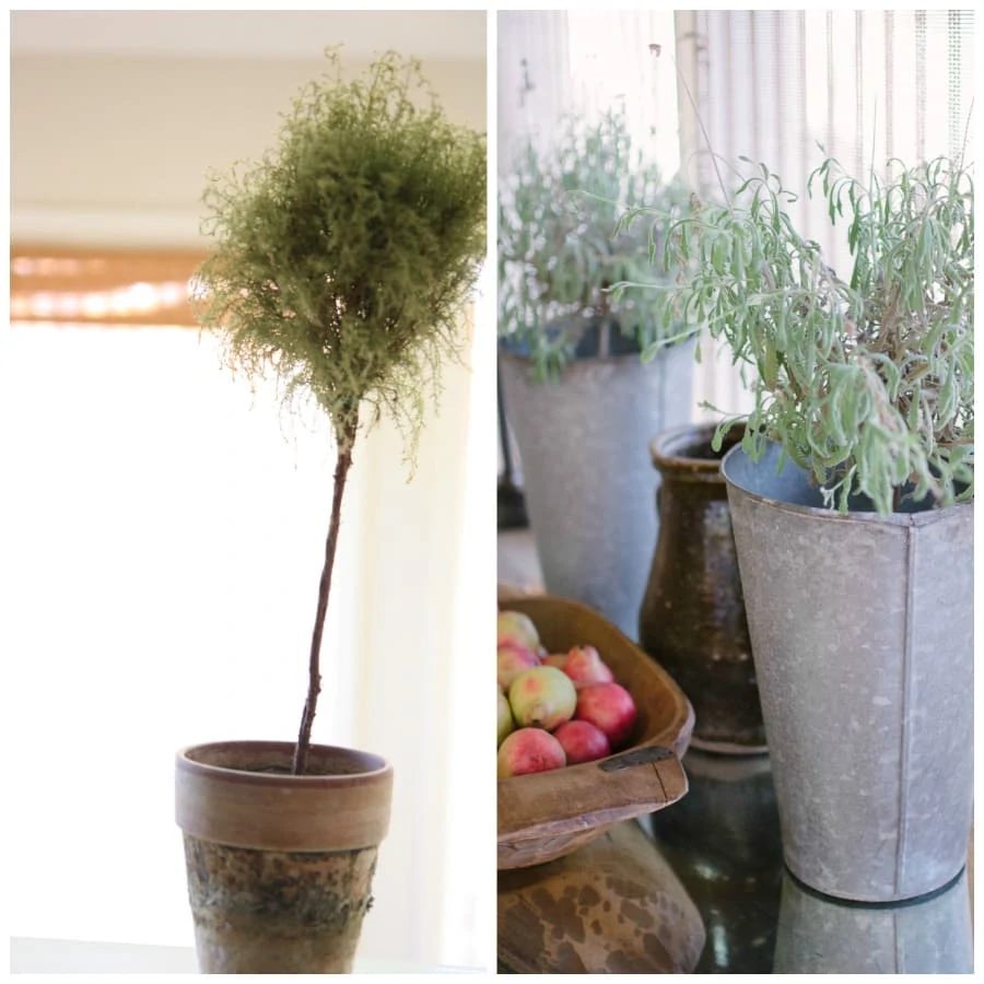 Sunroom and Kitchen Details - Neutral Home Tour - Life On Virginia Street