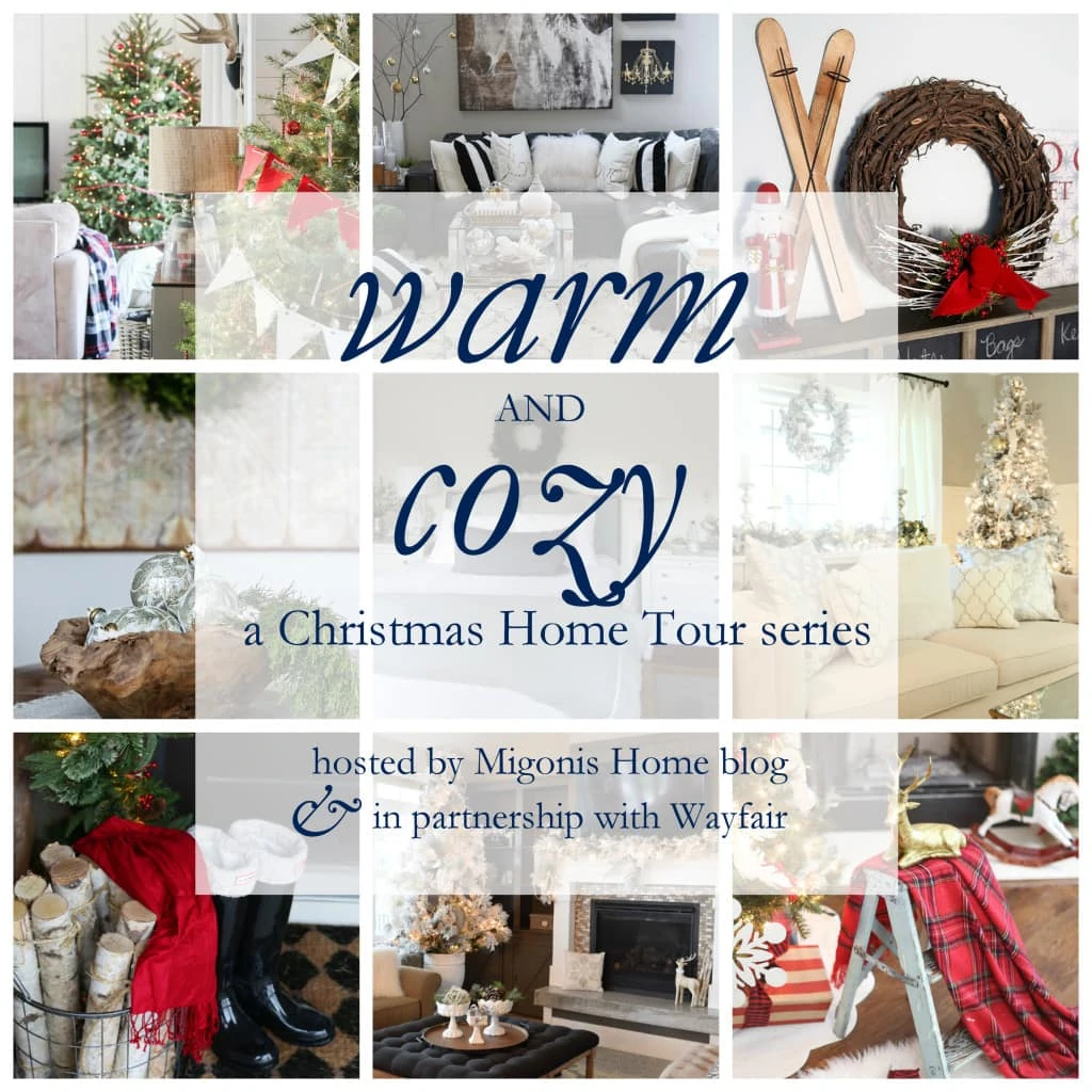 Wayfair Christmas Tour promo photo