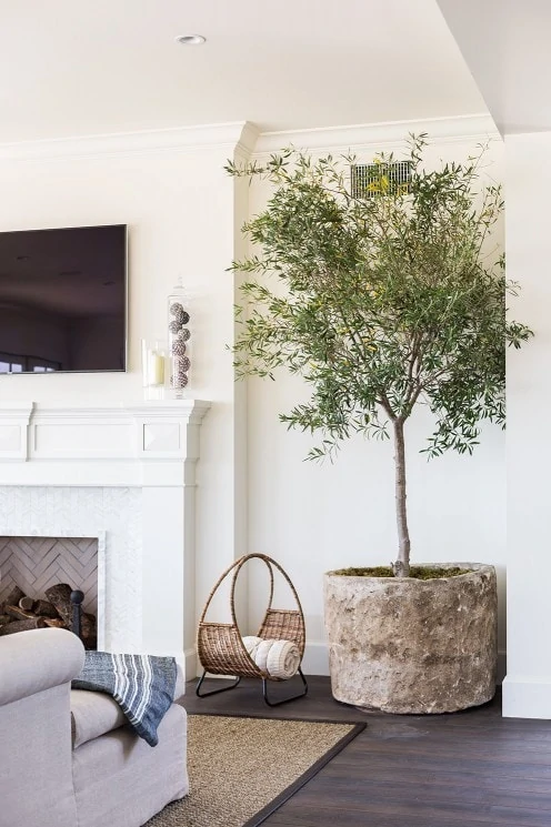 Living Room Vignette via Brown Design Group