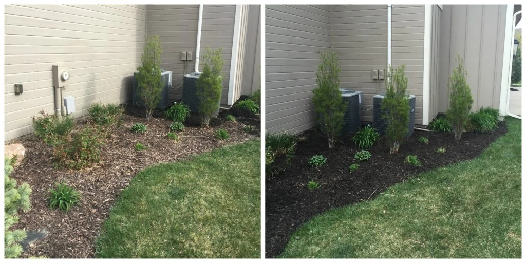 Mulch before and after