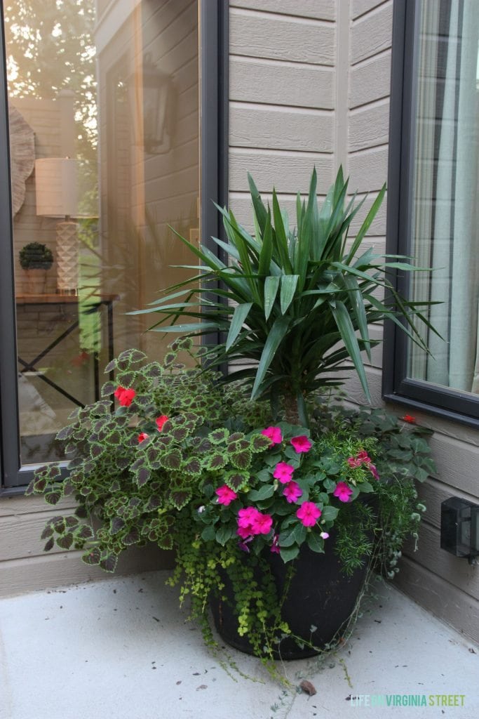courtyard planters