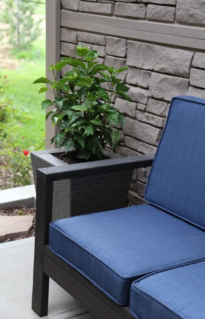 A green plant beside the blue couch in front of the stone siding of the house.