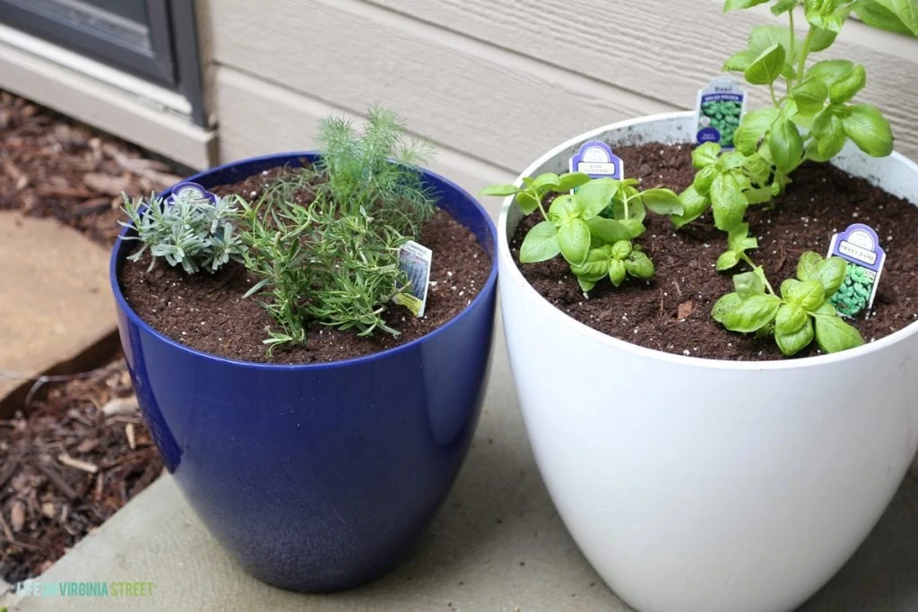 How To Make A Potted Herb Garden