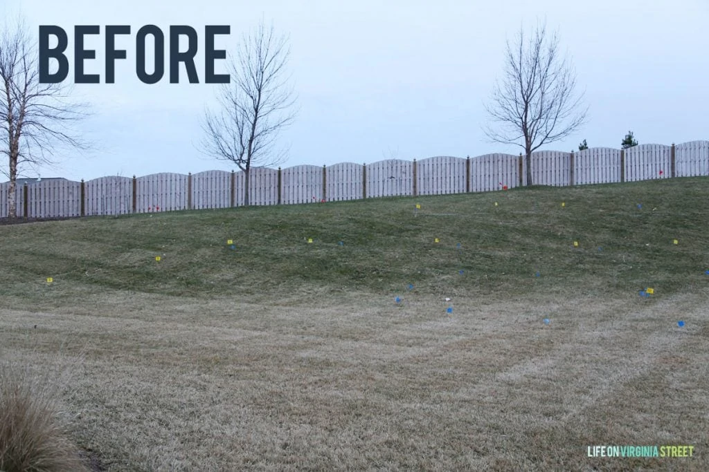 A picture of the large backyard prior to the pool being constructed.