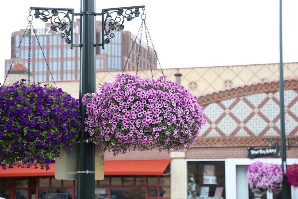 Hanging Flowers Baskets at Country Club Plaza KC via Life On Virginia Street