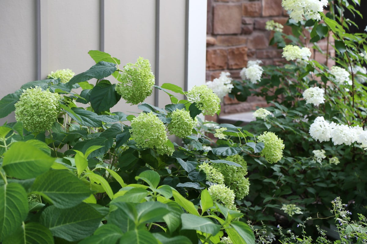 Summer Patio Tour - It's A Garden Party! | Life on Virginia Street