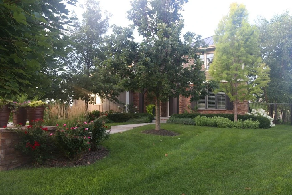 The large front lawn of Life On Virginia Street house with gardens and lawn.