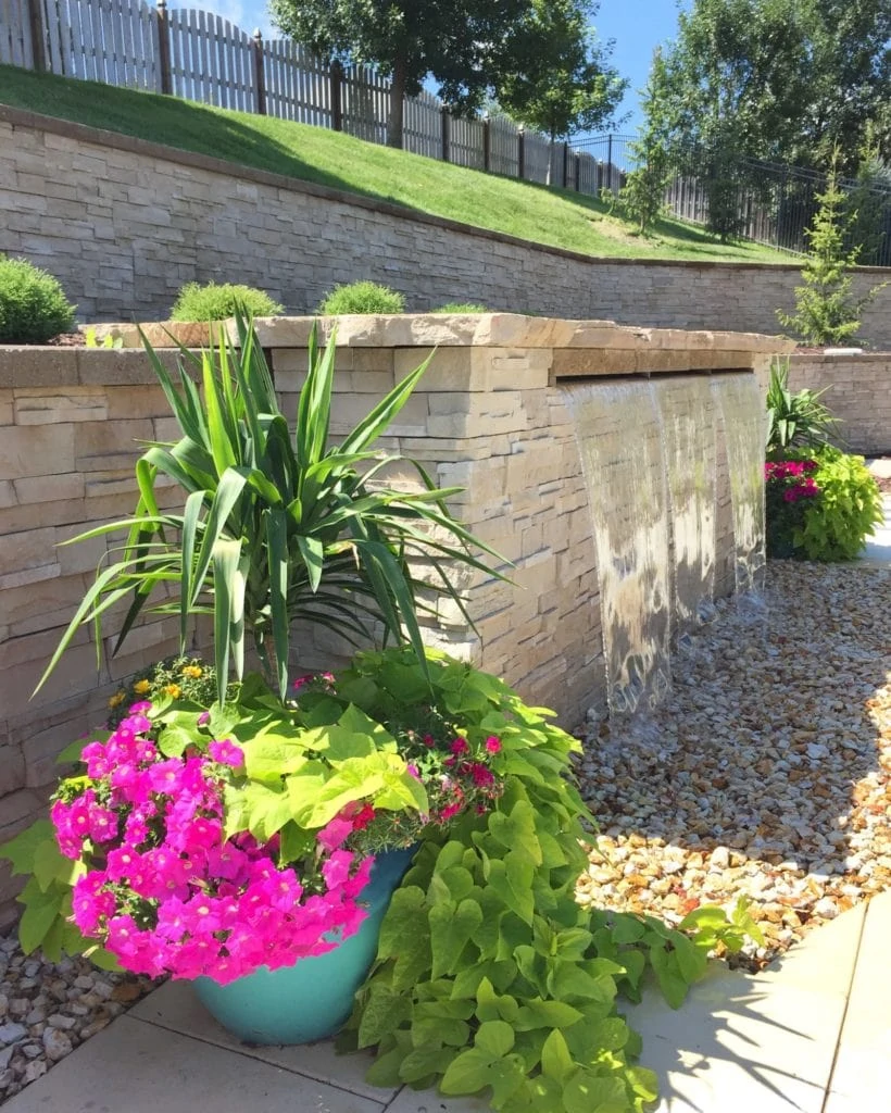 Large blue pots filled with tall green plants an purple flowers. All beside the water feature by the pool.