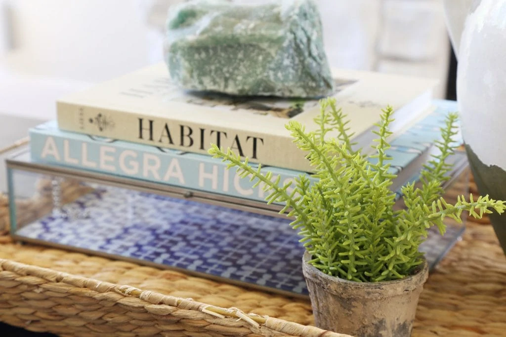 Books, a plant and a decorative rock on the coffee table.