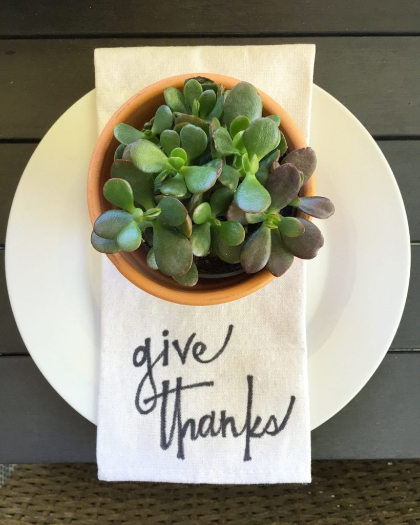 White plate with a DIY give thanks napkin and a potted plant on the plate.