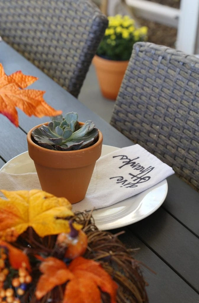 Wooden outdoor table decorated with multicolored fall leaves and a plant on a plate.