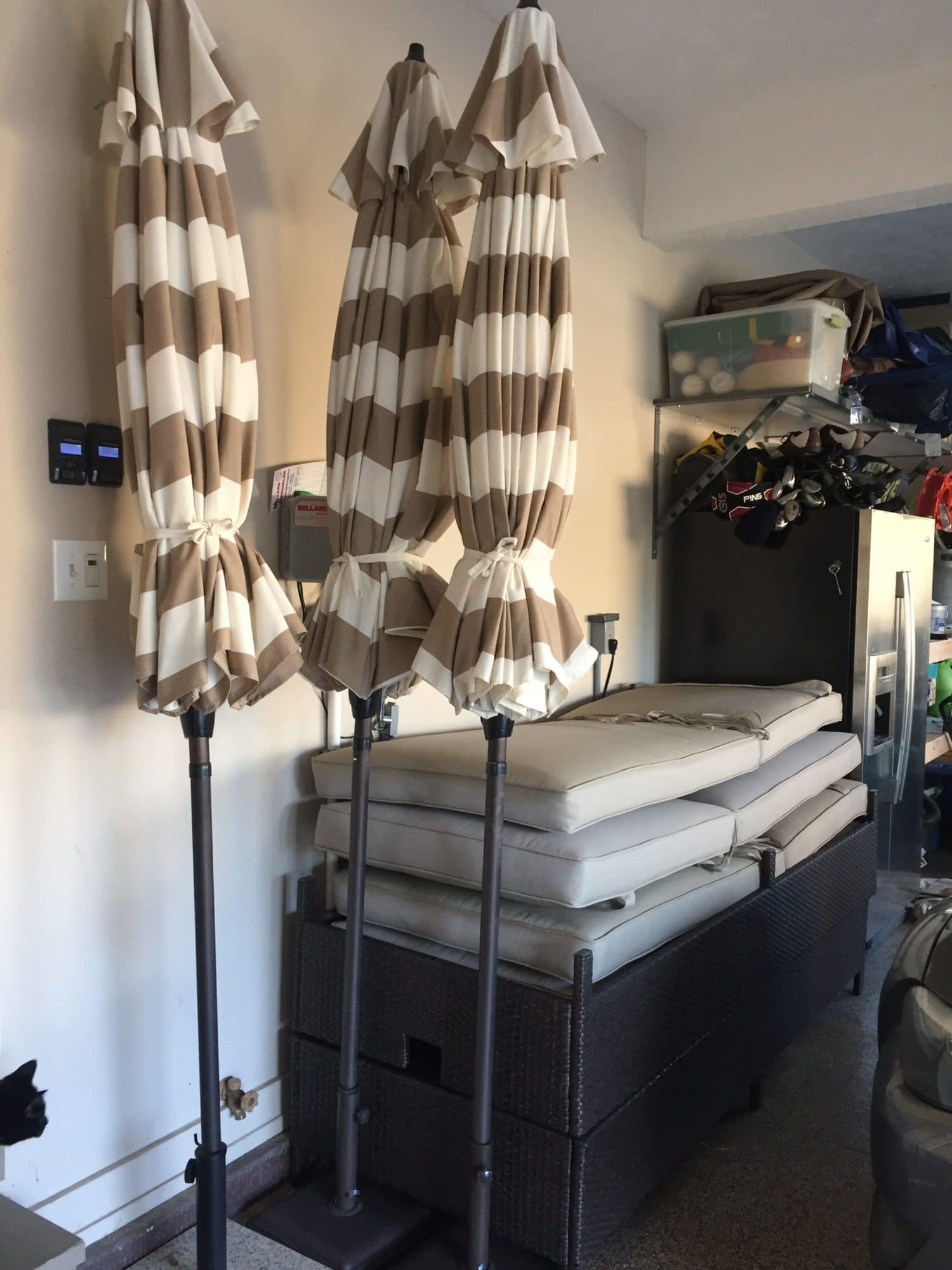 The Container Store Opening Weekend Recap! Life on Virginia Street