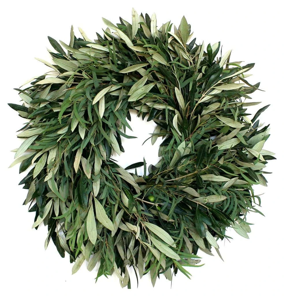 Olive and Eucalyptus Wreath