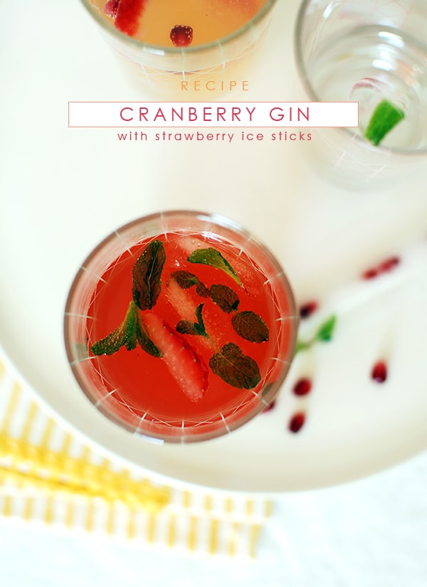 Cranberry Gin with Strawberry Ice Sticks - This Christmas cocktail is so festive and fun to make!