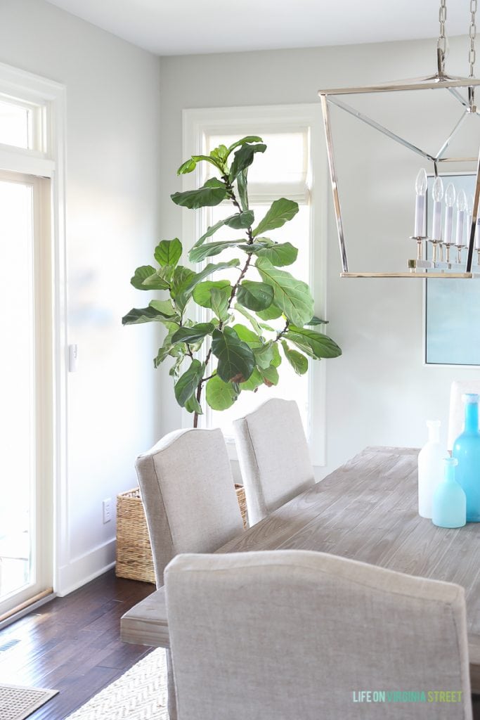 Coastal dining room with natural wood table, linen chairs, fiddle leaf fig tree, Darlana linear pendant and blue ocean art. Love the simple linen roman shades!