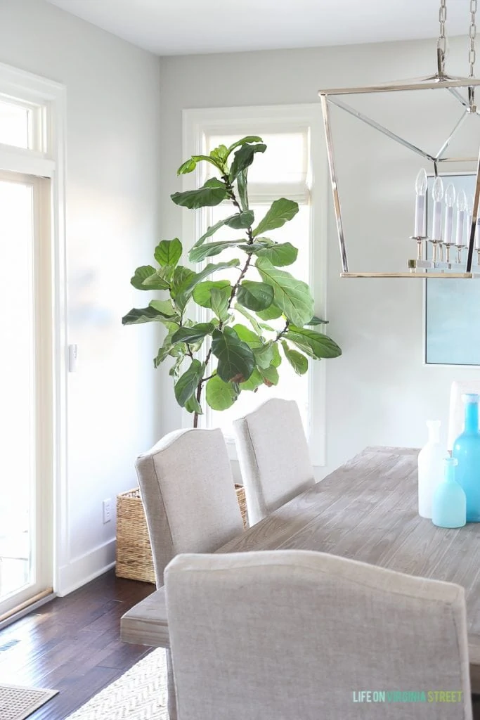 Coastal dining room with natural wood table, linen chairs, fiddle leaf fig tree, Darlana linear pendant and blue ocean art. Love the simple linen roman shades!
