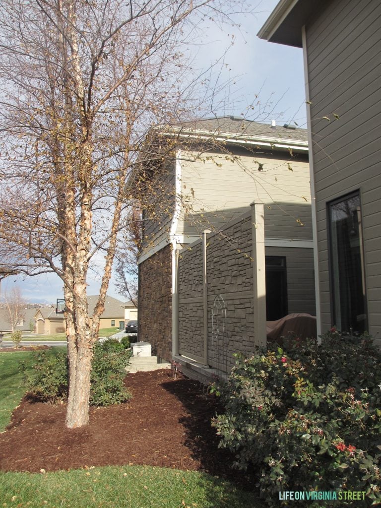 Detail of our side yard and privacy fence