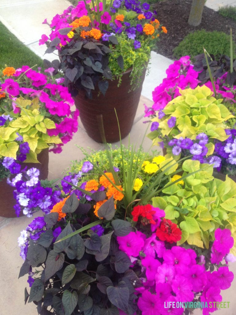 Four planters on the front porch with purple, orange and green flowers.