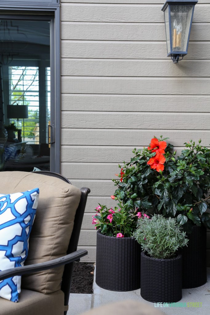 Gorgeous before and after tour of this outdoor courtyard entertaining space. Love the blue and white striped rug, the blue and white trellis pillows, the oleander topiaries, the limes in the beverage dispenser, the white ceramic pineapple, and more!