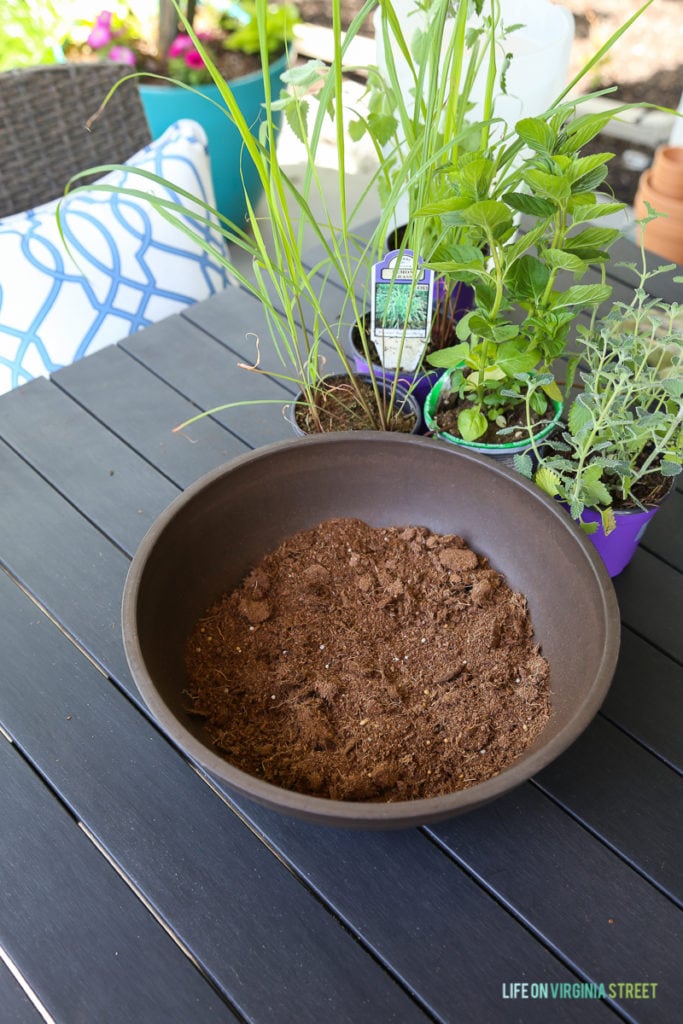 The gardening soil in a pot beside the plants.