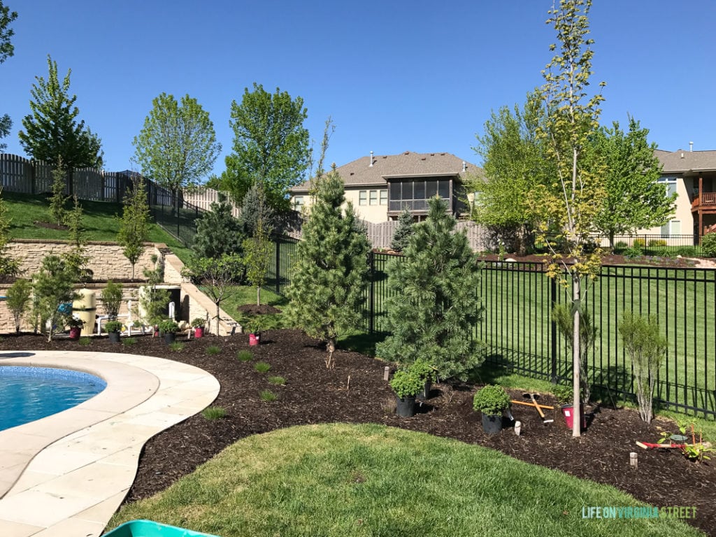 A small garden beside the pool.