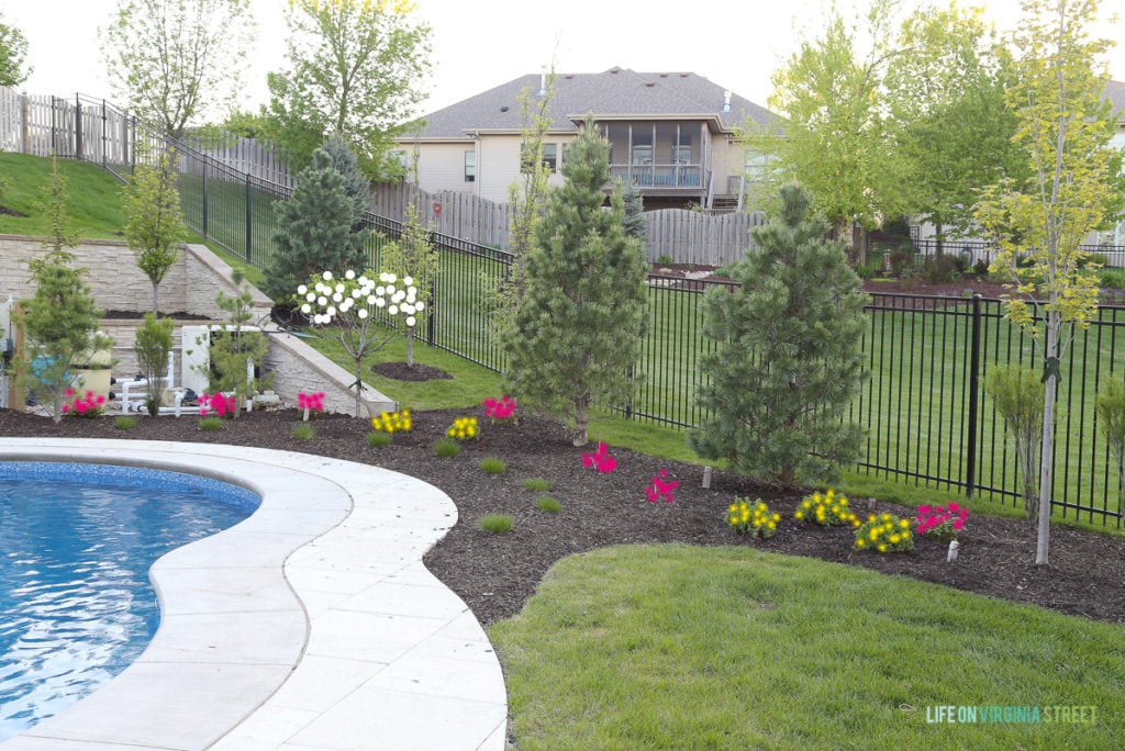 A backyard with an unground pool and flowers around it.