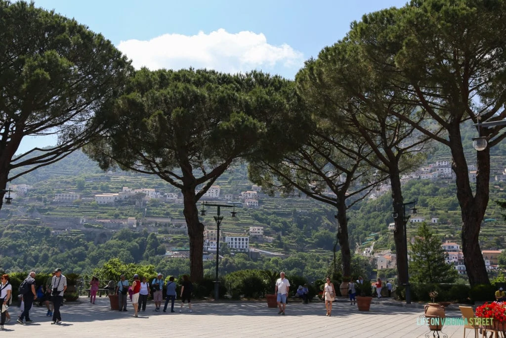 Large trees in the town of Ravello.