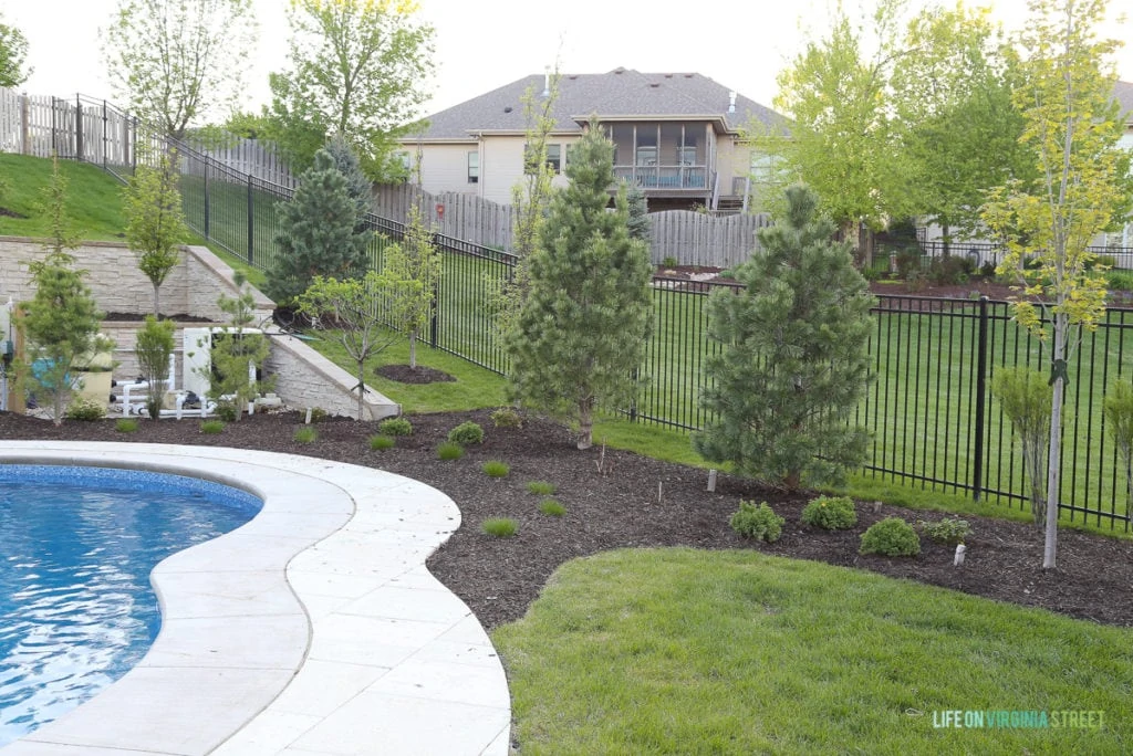 The side of the yard with the pool, a fence and a small garden area.