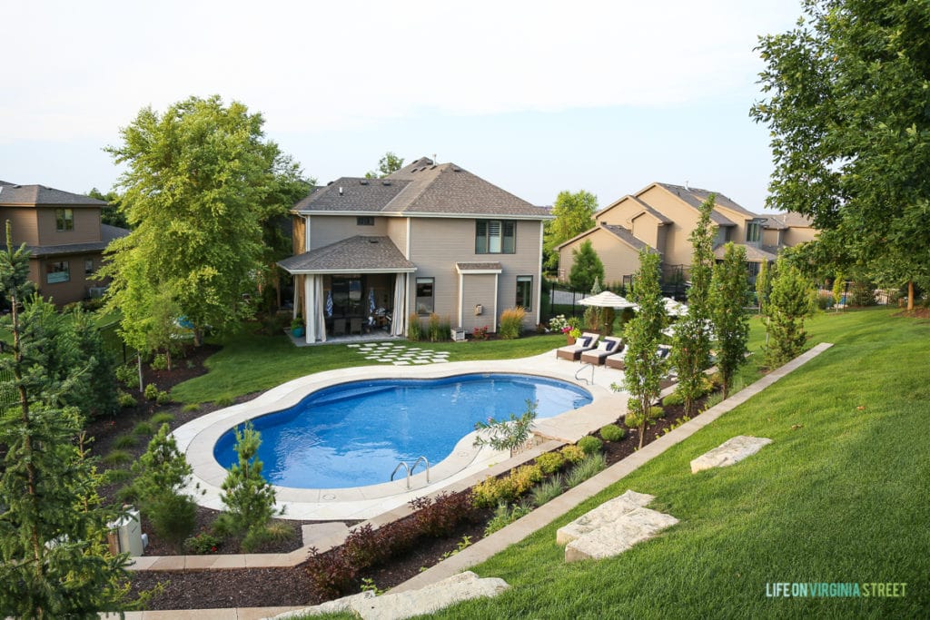 The shrubs around the oval pool in the backyard.