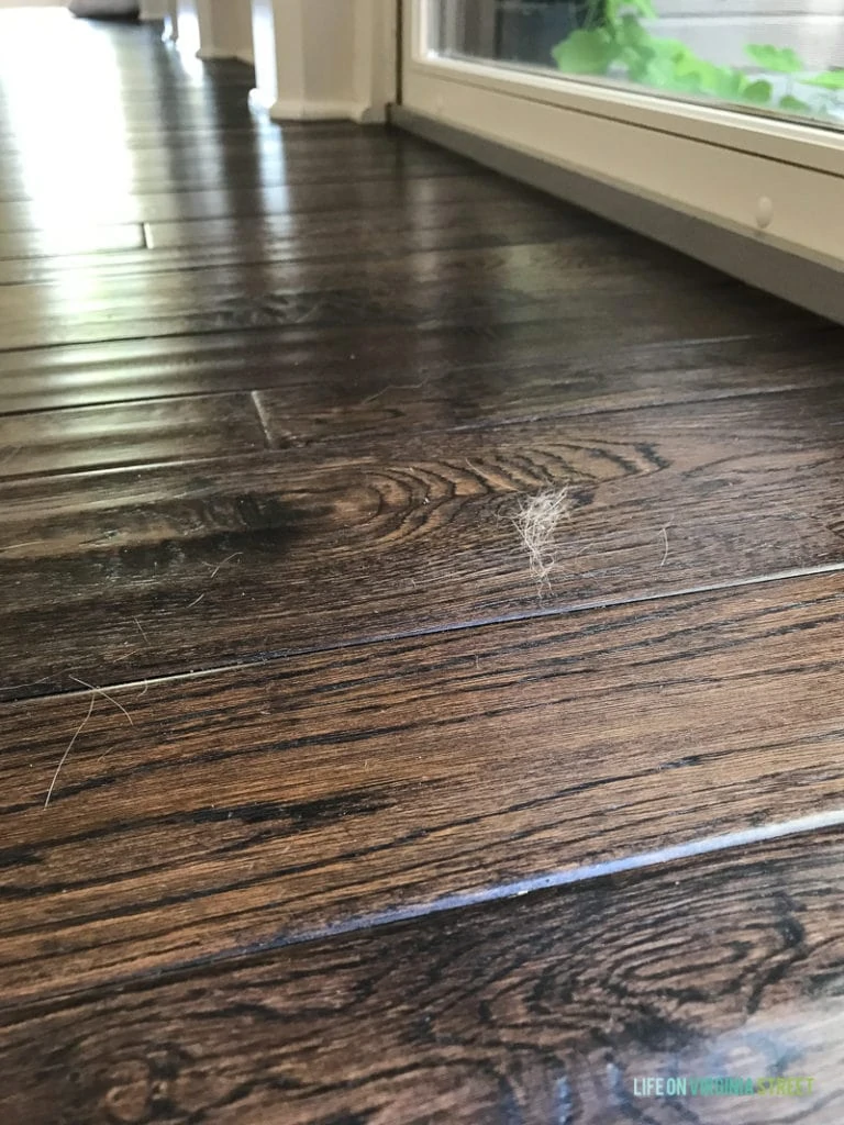 How To Clean Hardwood Floors - cat hair on our hardwood floors!