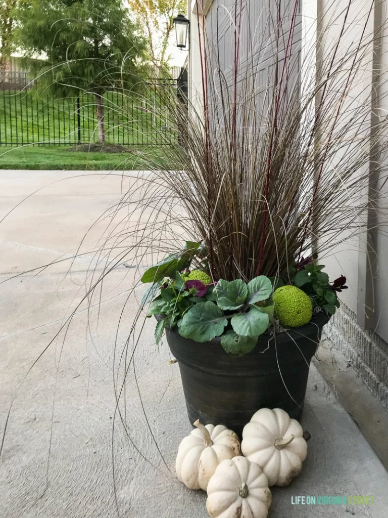 Large black fall planter with white pumpkins beside it.