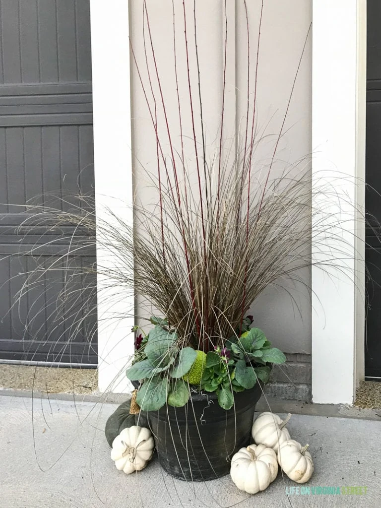 Large planter with white pumpkins beside it.