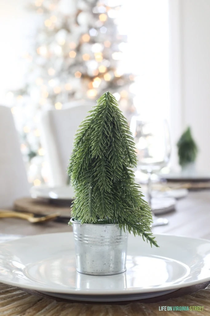 Little trees in a galvanized small pot on the white plates on table.