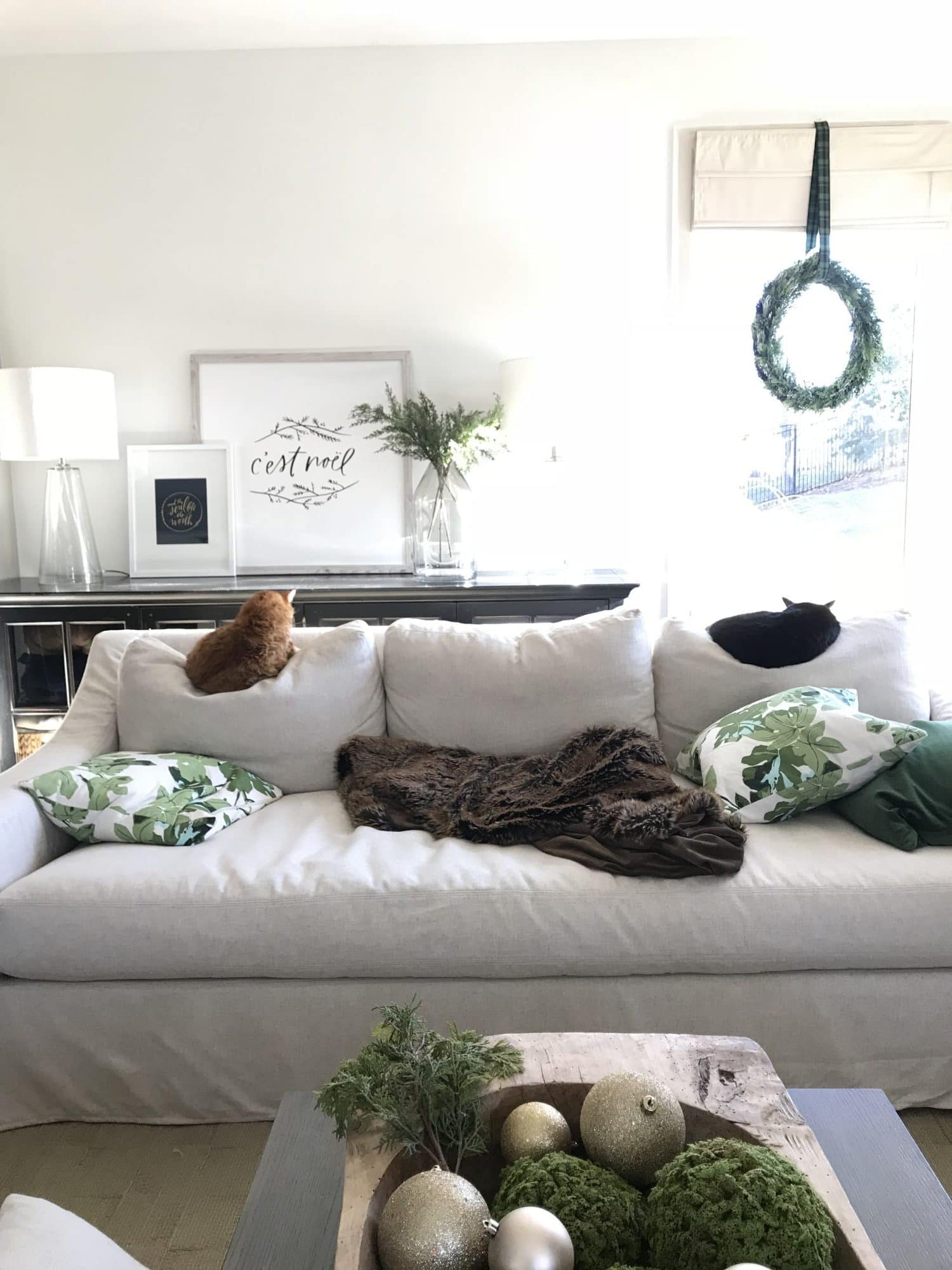 Weekend Recap - Life On Virginia Street