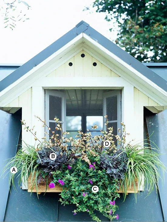 A small window in a house with a planter on the outside blooming.