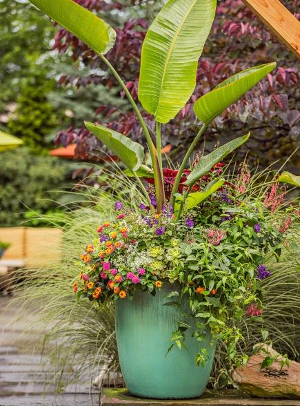 A fresh green pot with flowers and banana leaf palms in it.