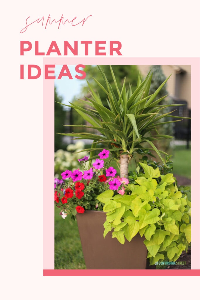 Summer Planter Ideas Life On Virginia Street