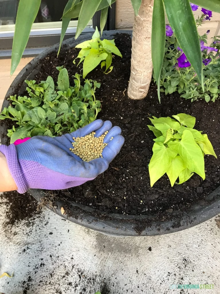 How to Create the Best Large Flower Pots - The Everyday Farmhouse