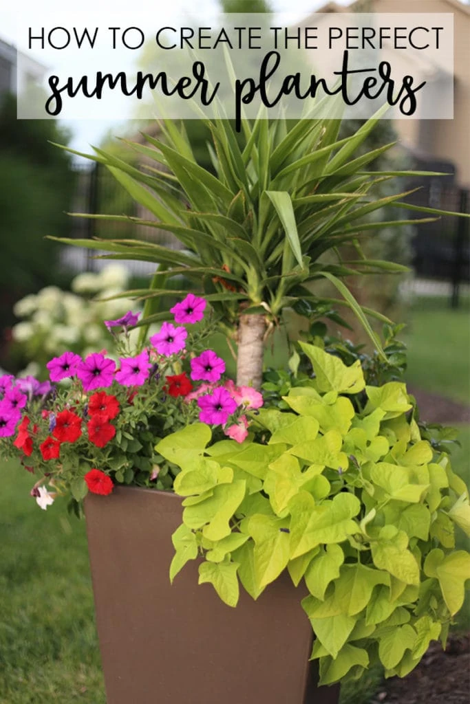 A step-by-step tutorial to share how to create the perfect summer planters. Includes details on which plants to pick, favorite planter options, and how to plant flowers in a pot.