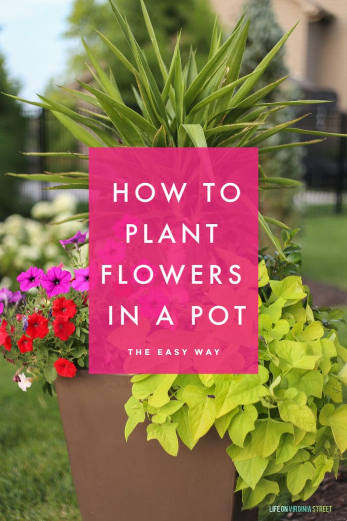 Tutorial How To Plant Flowers In A Pot, How To Prepare Outdoor Plant Pots