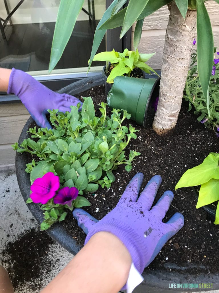 Tutorial How To Plant Flowers In A Pot Life On Virginia Street